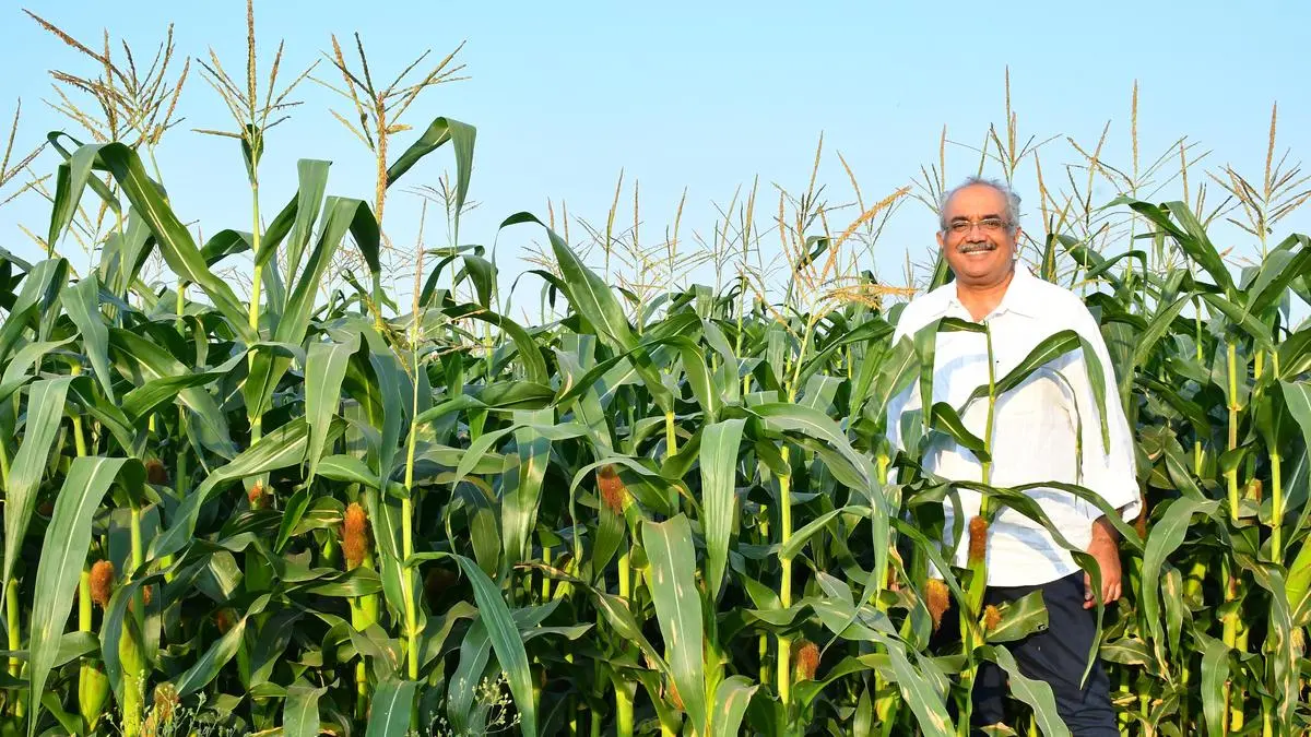 ‘Popping’ an agri-revolution